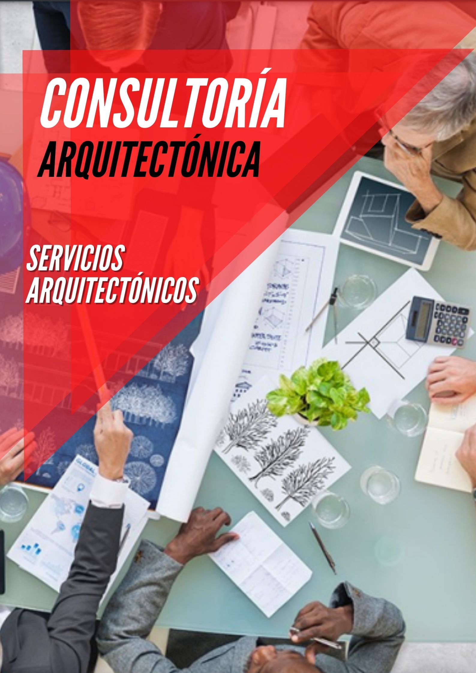 Consultoría Arquitectónica